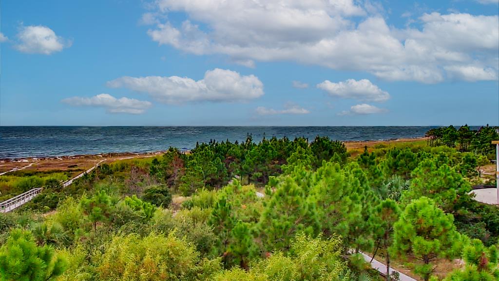 Lot 6 Mccosh Mill Rd Cape Port St. Joe, FL 32456 - Photo 7 of 50