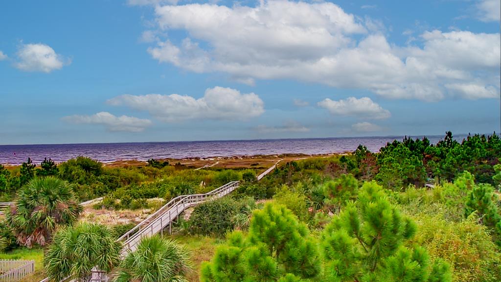 Lot 6 Mccosh Mill Rd Cape Port St. Joe, FL 32456 - Photo 8 of 50