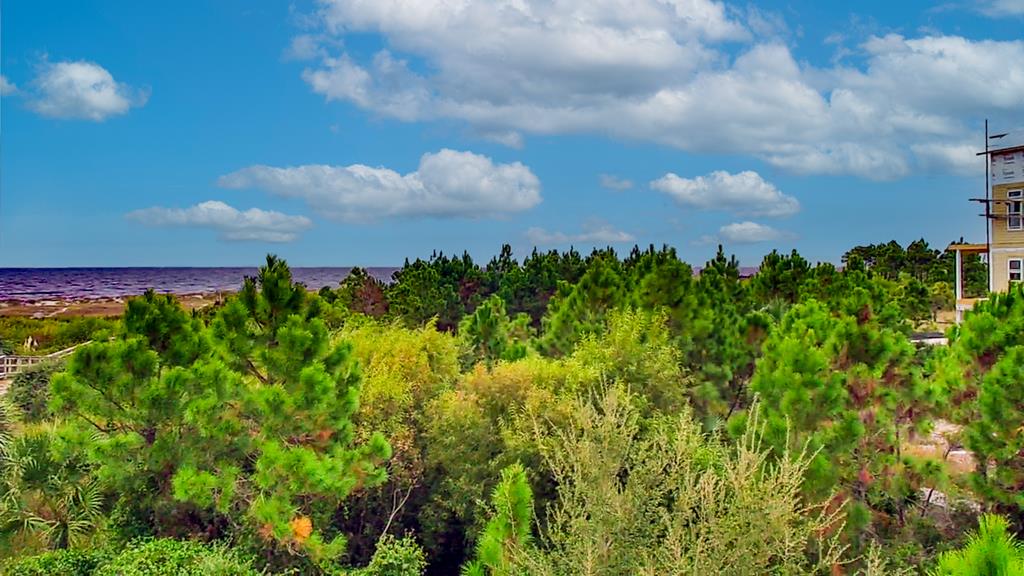 Lot 6 Mccosh Mill Rd Cape Port St. Joe, FL 32456 - Photo 9 of 50