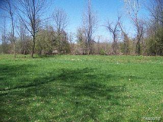 29575 25 Mile Road New Baltimore, MI 48051 - Photo 1 of 1 Property
