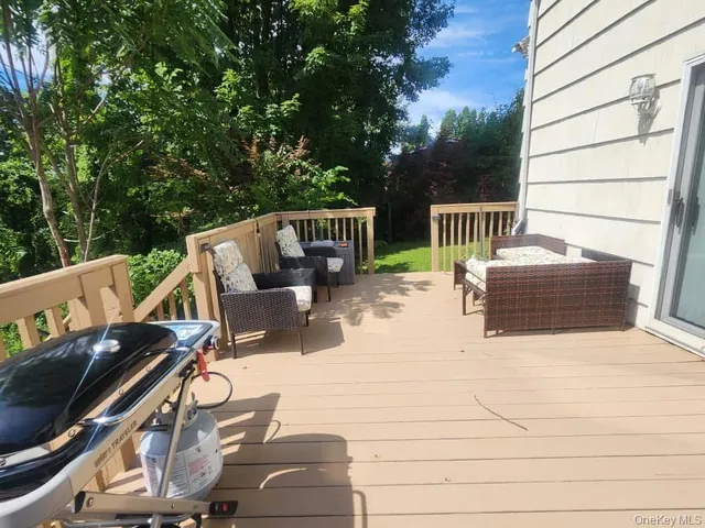 a view of a backyard with plants and large trees