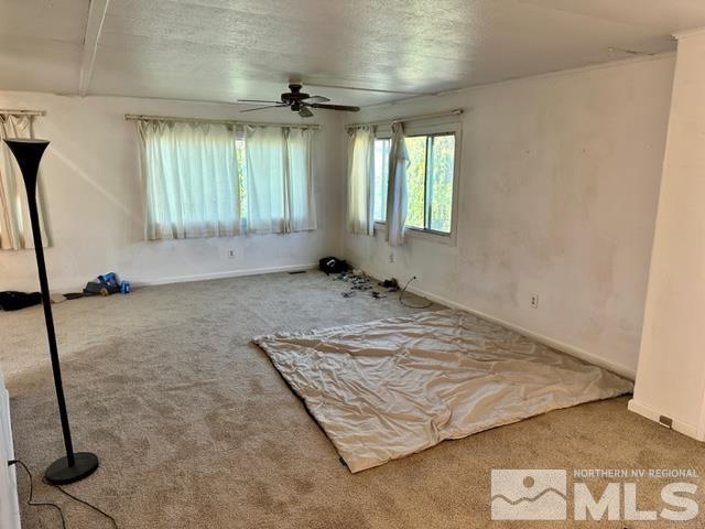 300 Scorpio Circle Reno, NV 89521 - Photo 14 of 16 an empty room with windows