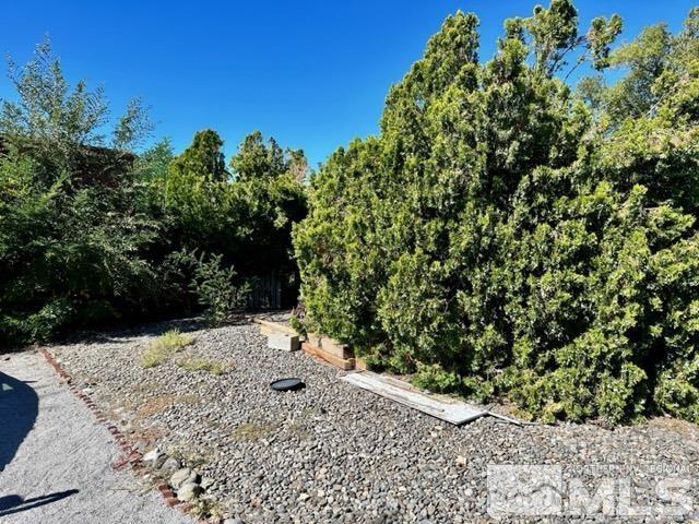 300 Scorpio Circle Reno, NV 89521 - Photo 2 of 16 a view of a yard with plants and tree