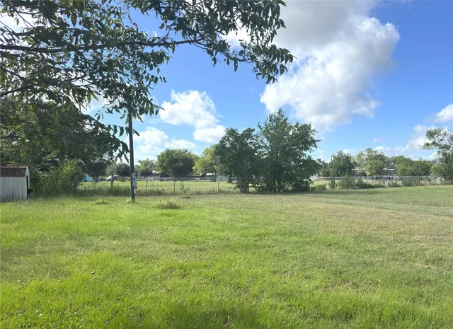 a view of a field with a tree