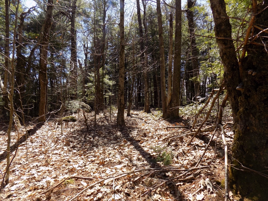 Lot 7 Skyline Ridge Road Becket, MA 01223 - Photo 8 of 14