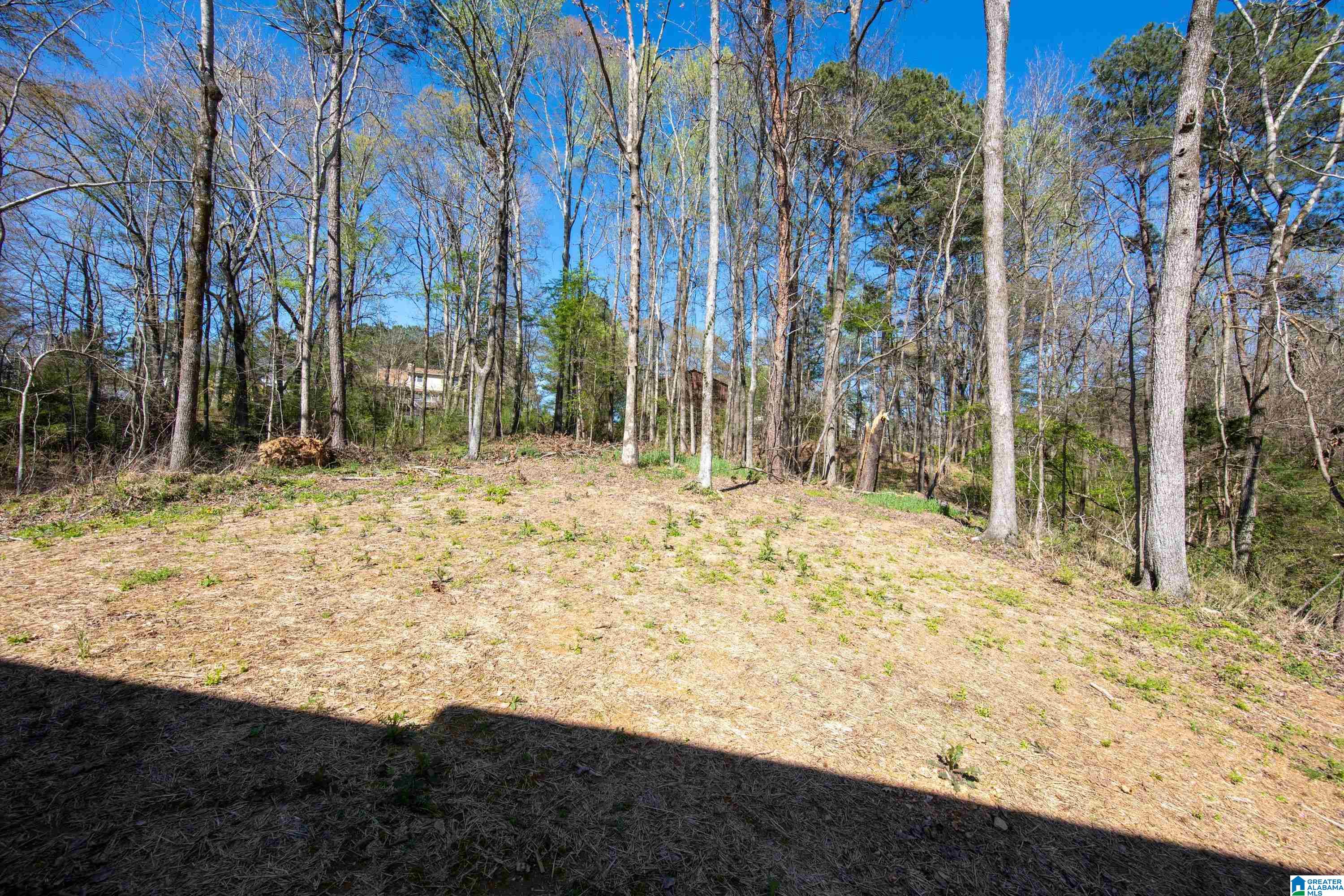 13467 Ski Lake Road McCalla, AL 35111 - Photo 8 of 12