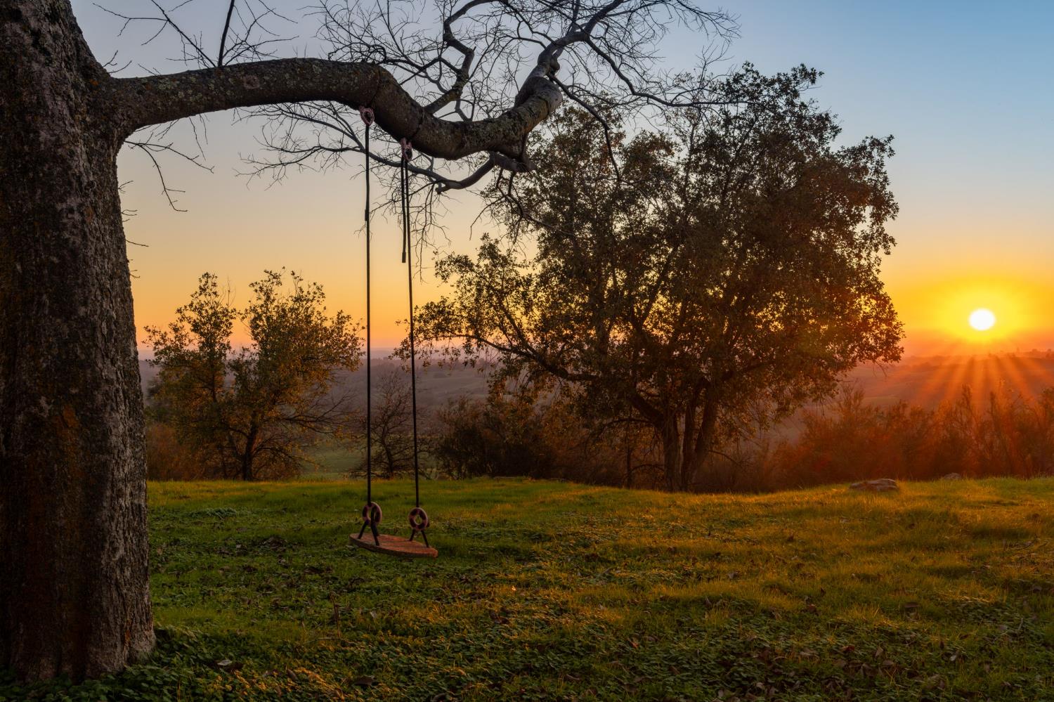 14899 Patton Road Plymouth, CA 95669 - Photo 39 of 52