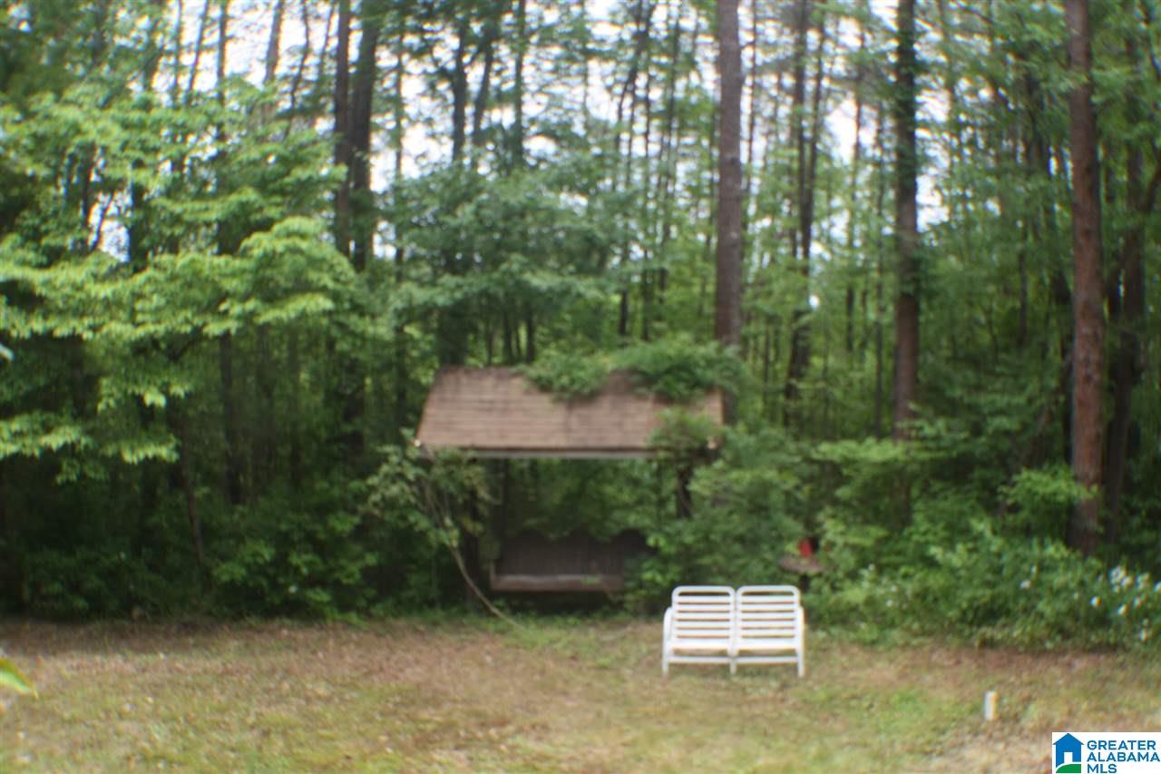 5915 County Road 275 Fort Payne, AL 35967 - Photo 11 of 22