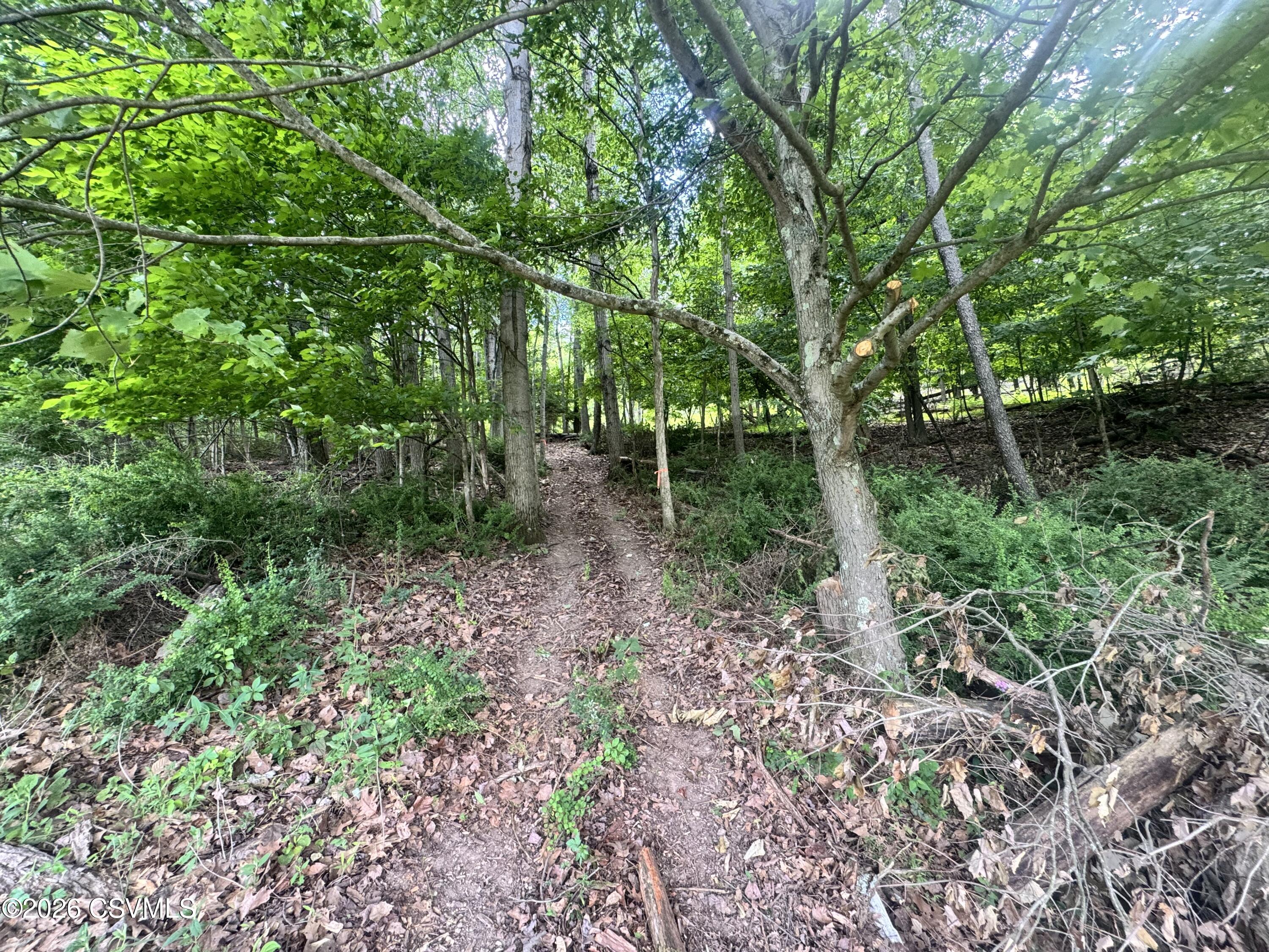 Lot #6 Old Reading Road Sunbury, PA 17801 - Photo 5 of 9