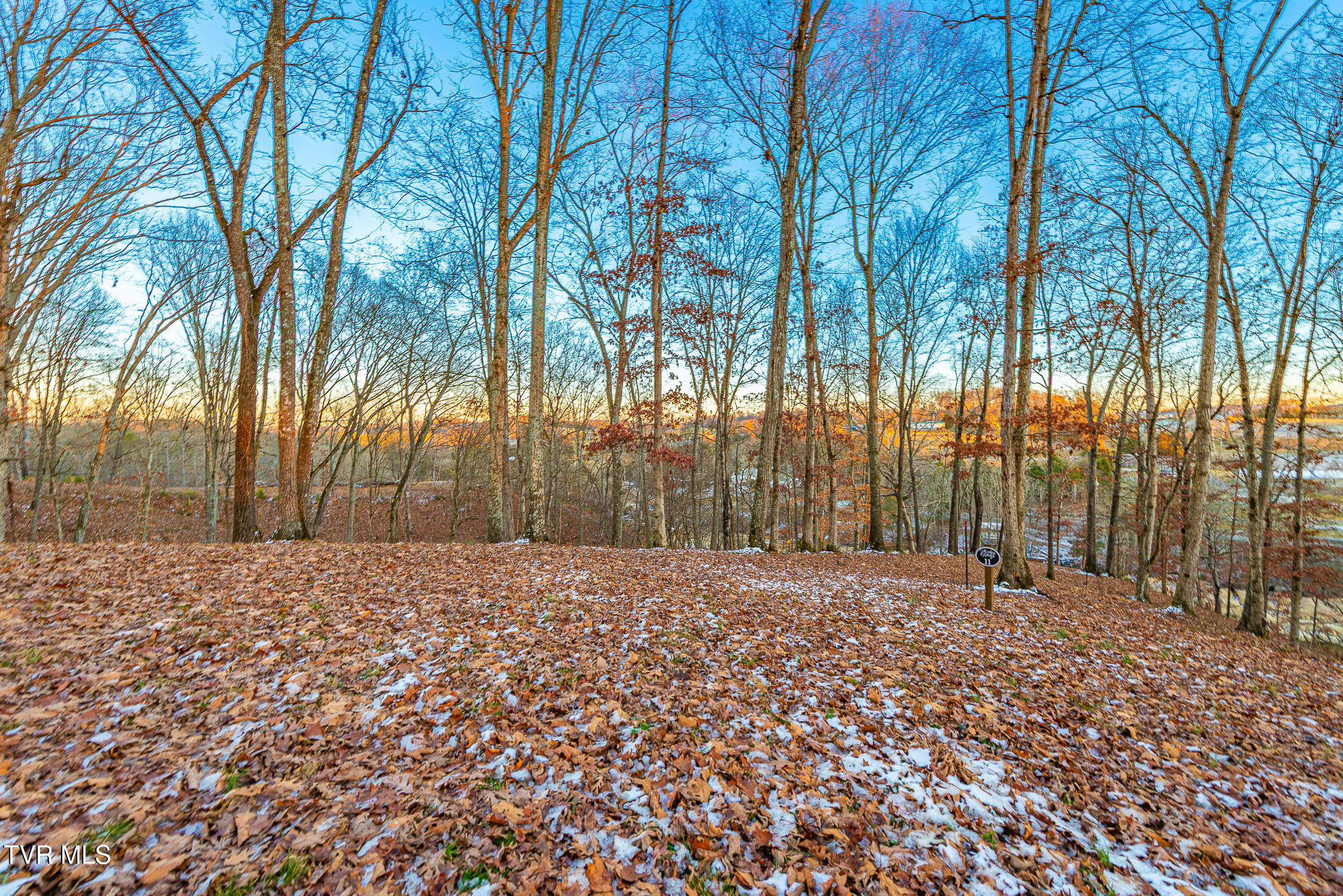 2246 Turkey Ridge Drive, Unit 16 Piney Flats, TN 37686 - Photo 2 of 5 Turkey Ridge