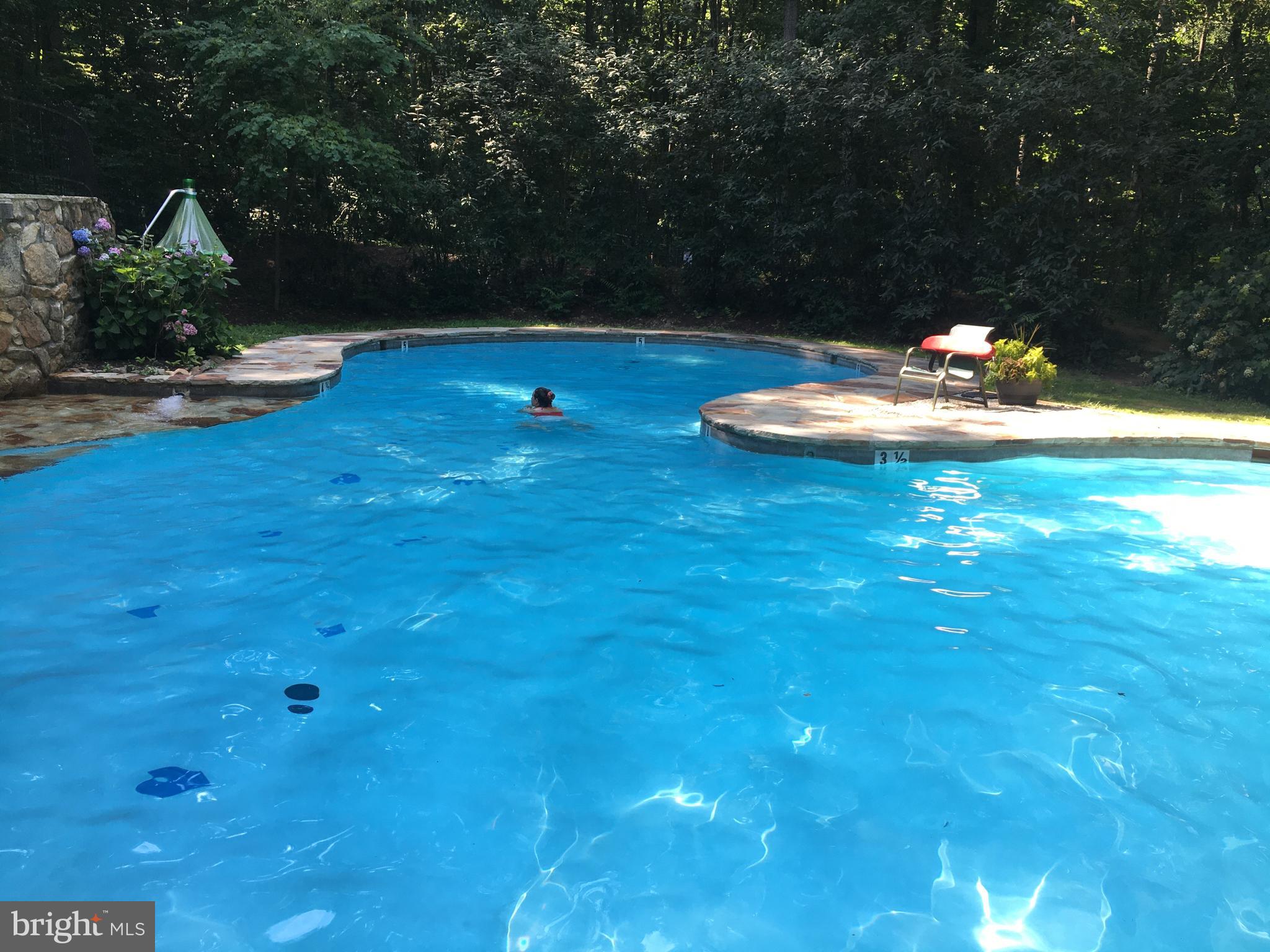 1220 Mountainside Road Berkeley Springs, WV 25411 - Photo 54 of 54 Coolfont pool
