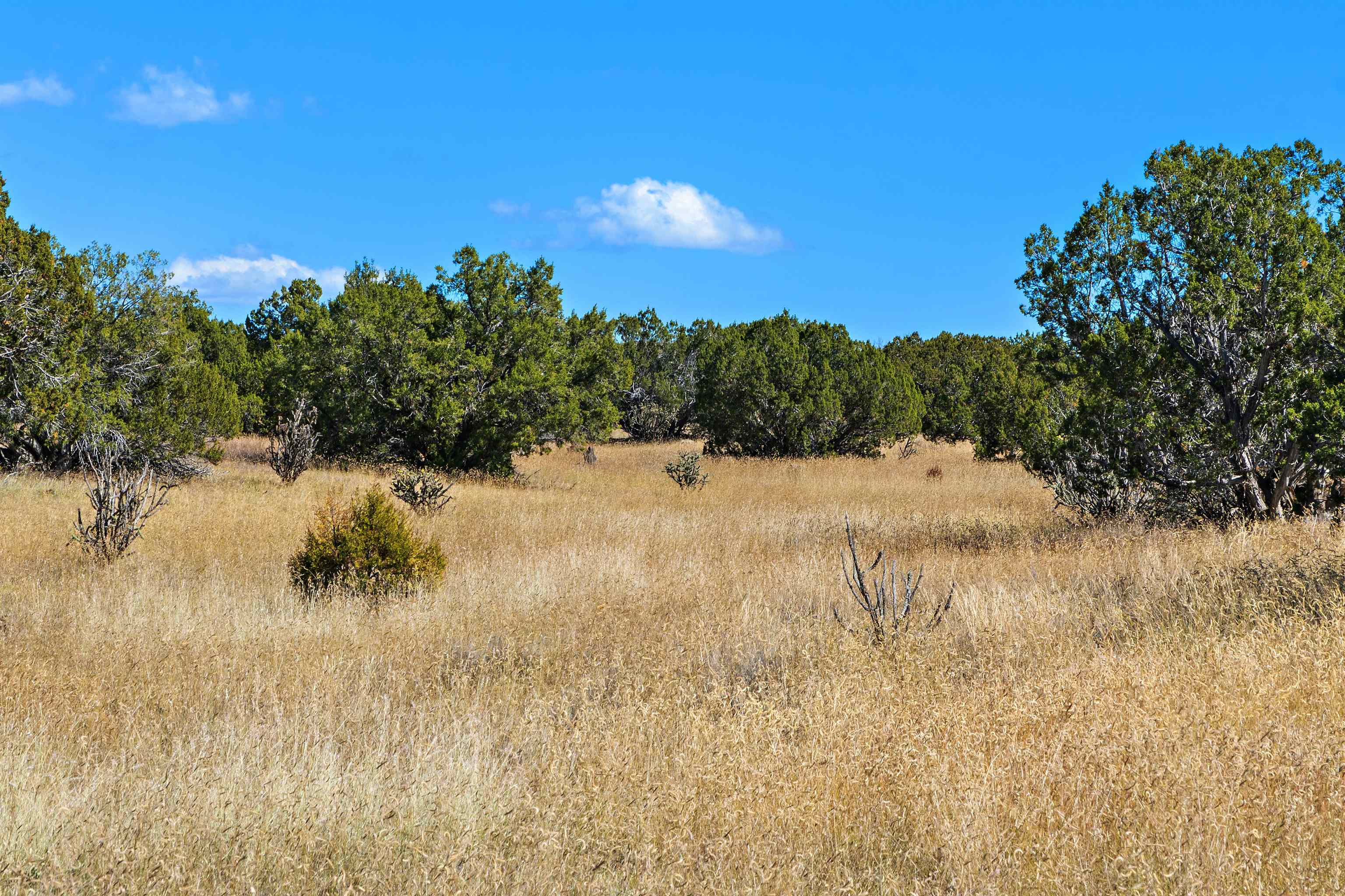 84 West Basin Ridge Cerrillos, NM 87010 - Photo 20 of 25