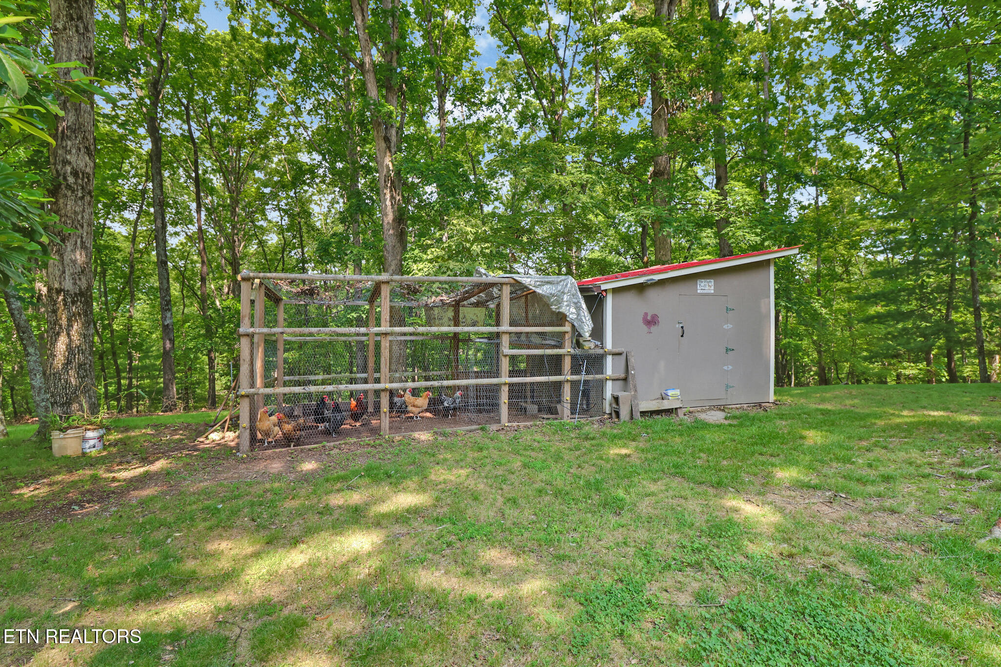 986 Post Oak Valley Road Rockwood, TN 37854 - Photo 39 of 45 chicken coop and run