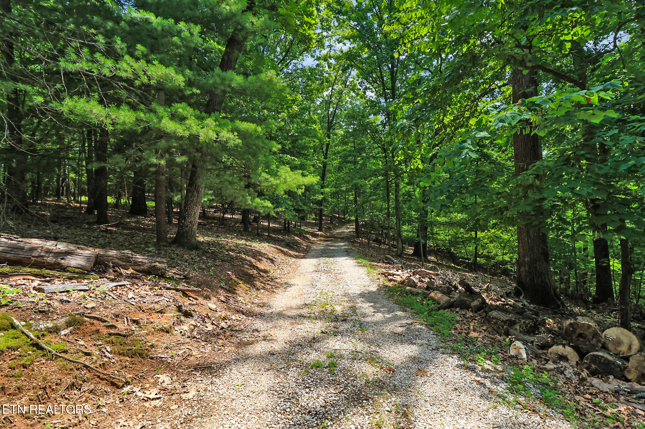 986 Post Oak Valley Road Rockwood, TN 37854 - Photo 41 of 45 private driveway
