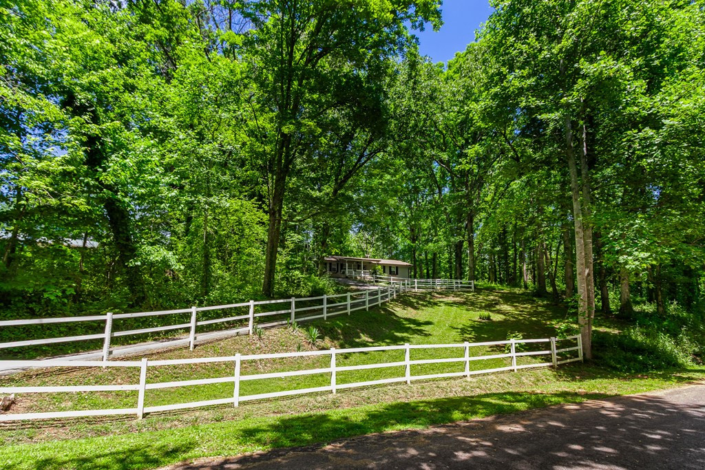 485 Heaton Road Marble, NC 28905 - Photo 50 of 52