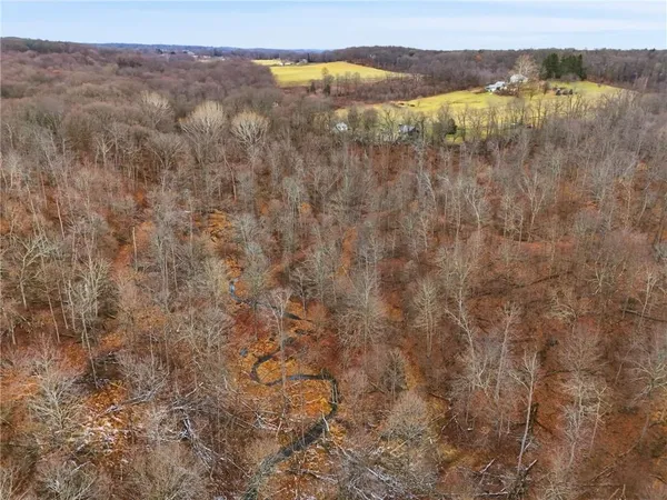 a view of a city with lush green forest