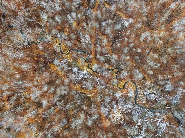 a backyard of a house with lots of trees