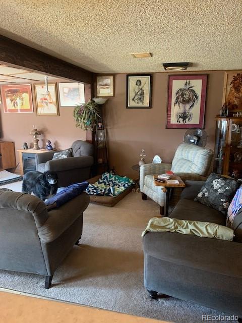 1387 33rd Trail Cotopaxi, CO 81223 - Photo 20 of 26