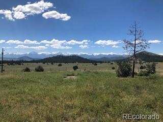 1387 33rd Trail Cotopaxi, CO 81223 - Photo 8 of 26
