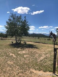 1387 33rd Trail Cotopaxi, CO 81223 - Photo 10 of 26