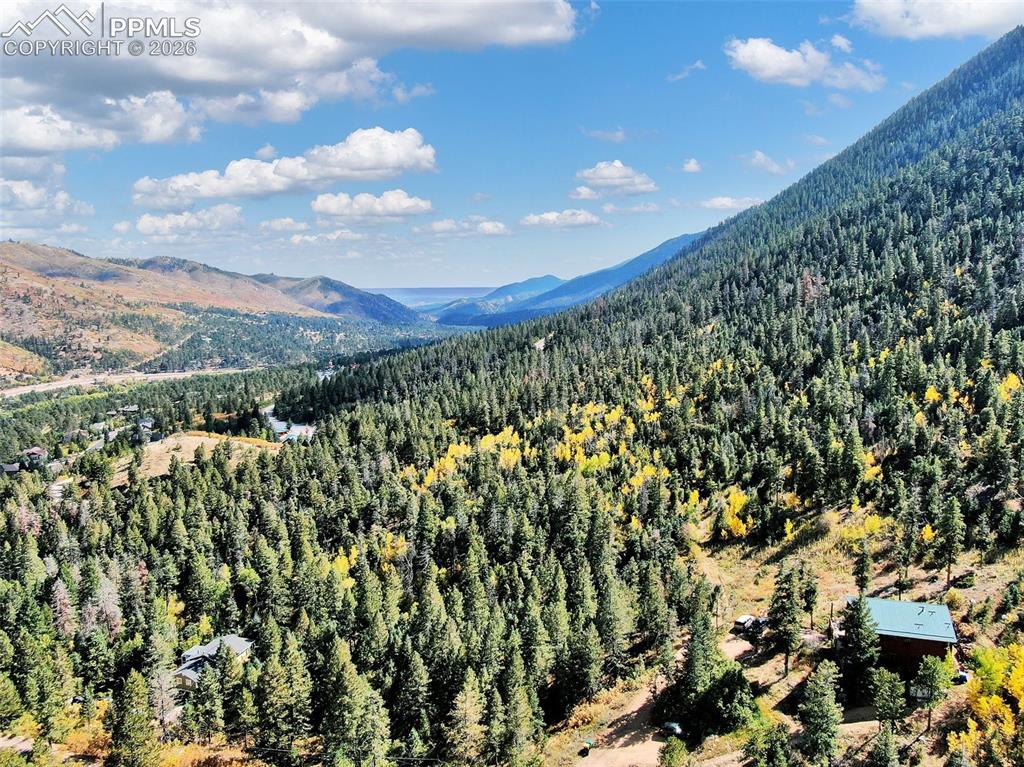 5265 Kulsa Road Cascade, CO 80809 - Photo 12 of 13 Property view of mountains