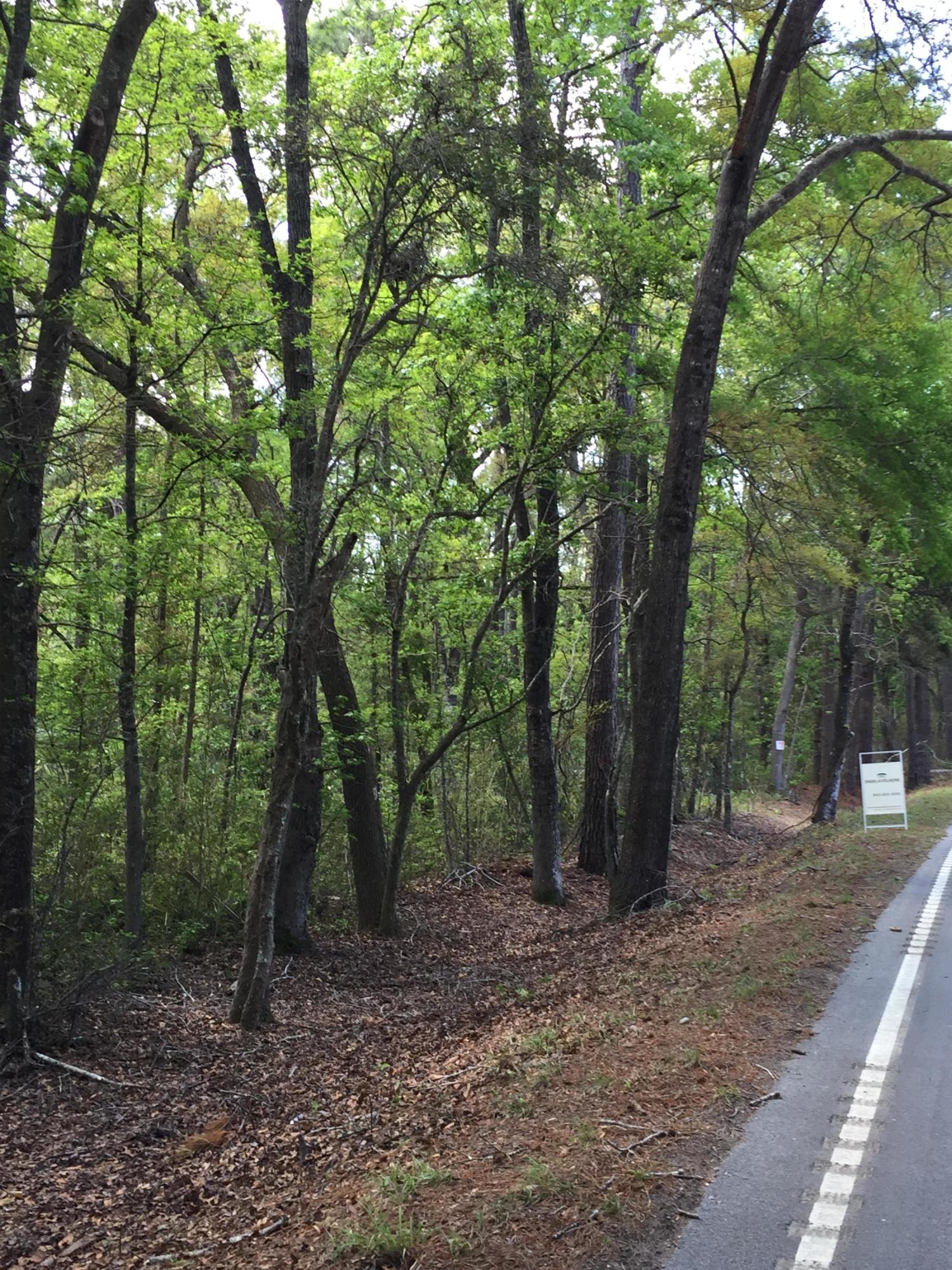6303 Bears Bluff Road Wadmalaw Island, SC 29487 - Photo 2 of 6 5.4 acres