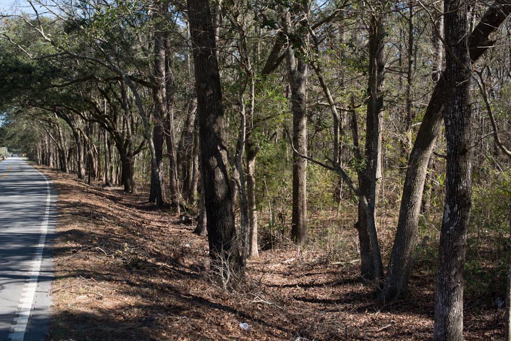 6303 Bears Bluff Road Wadmalaw Island, SC 29487 - Photo 5 of 6 Photos Bears Bluff_2-6814
