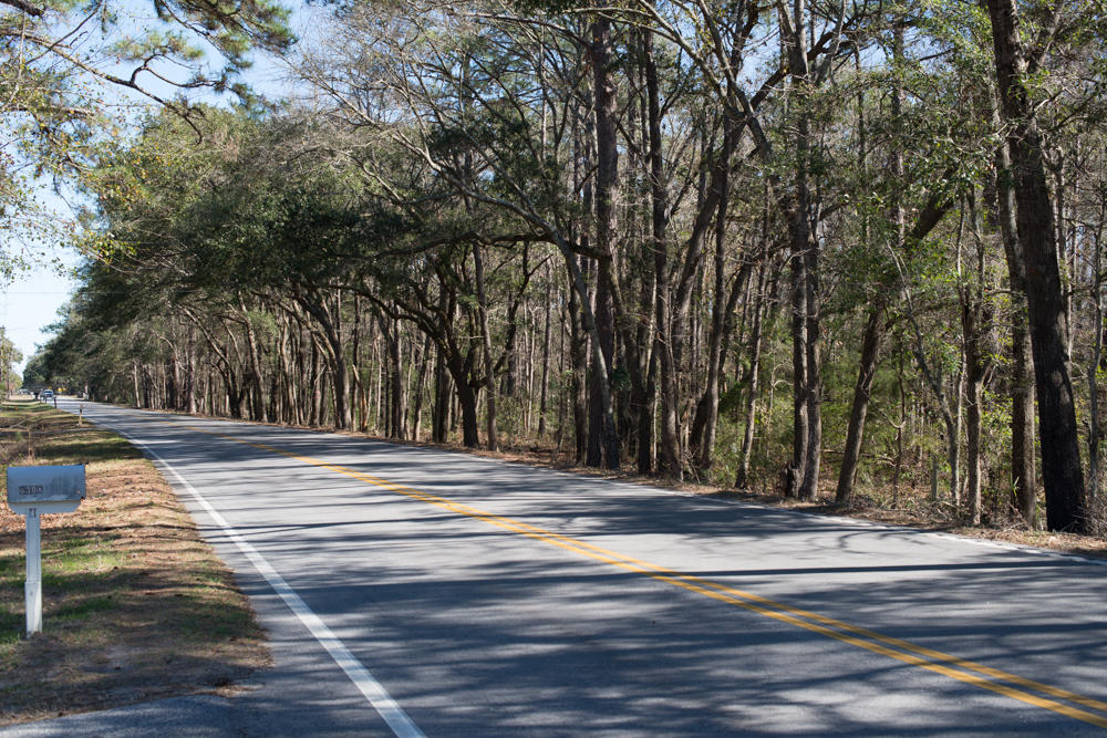 6303 Bears Bluff Road Wadmalaw Island, SC 29487 - Photo 6 of 6 Photos Bears Bluff-6813