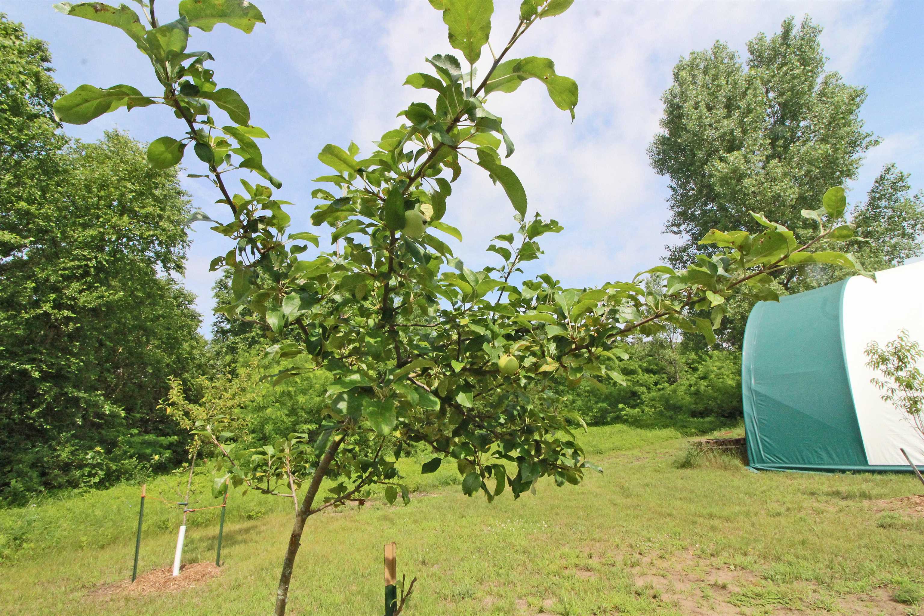 7750 Pine Road Arena, WI 53503 - Photo 35 of 59