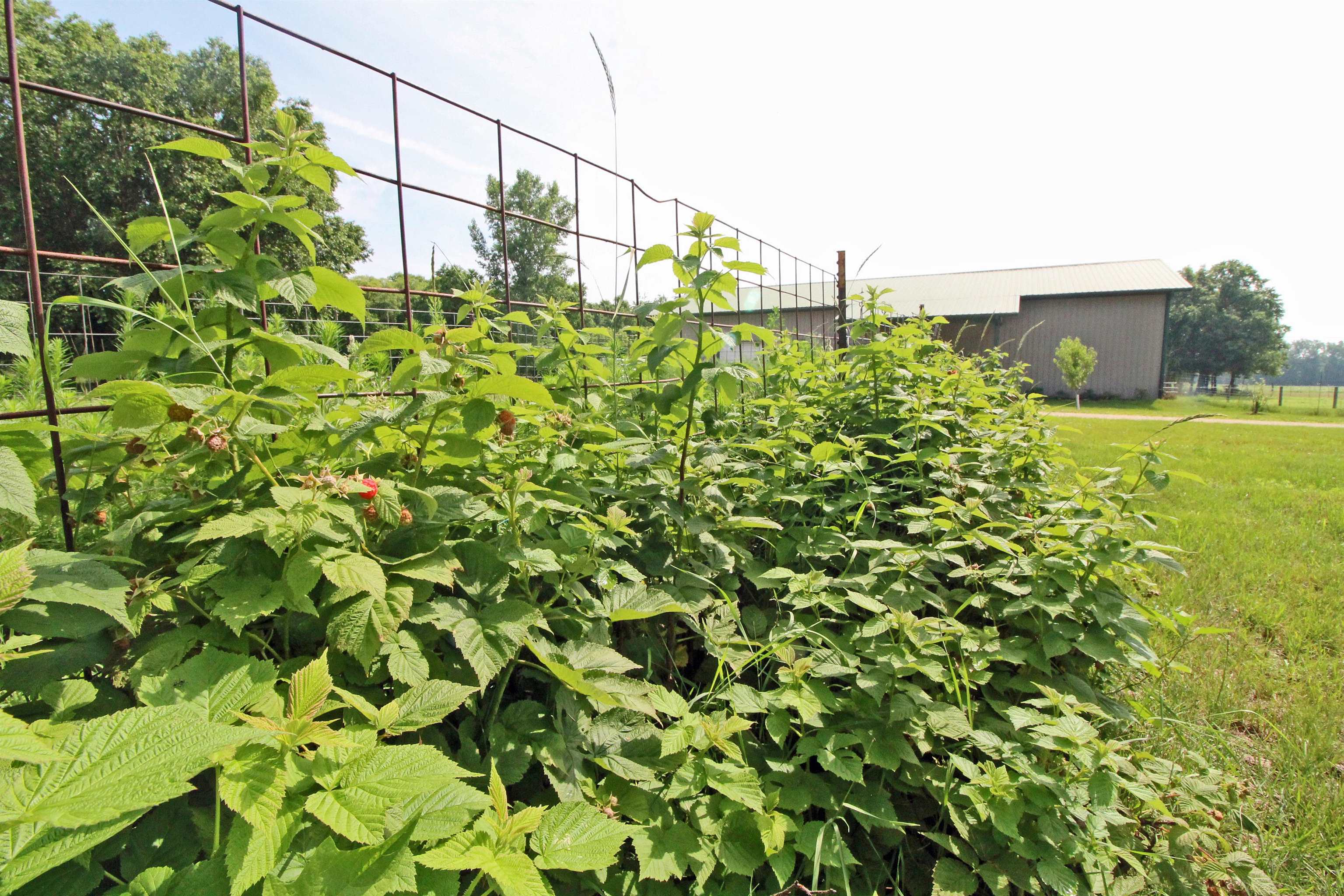 7750 Pine Road Arena, WI 53503 - Photo 36 of 59