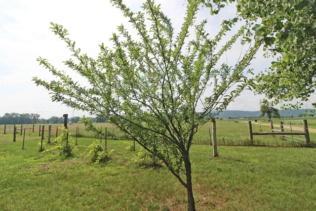 $650,000 | 7750 Pine Road, Arena, WI 53503