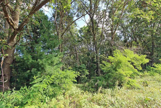 $650,000 | 7750 Pine Road, Arena, WI 53503