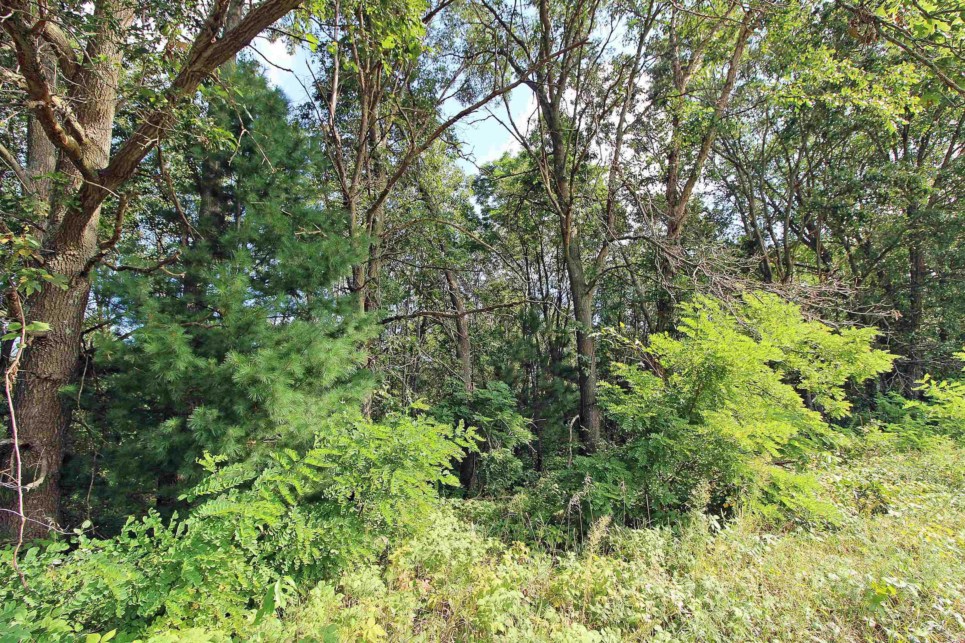 7750 Pine Road Arena, WI 53503 - Photo 56 of 59