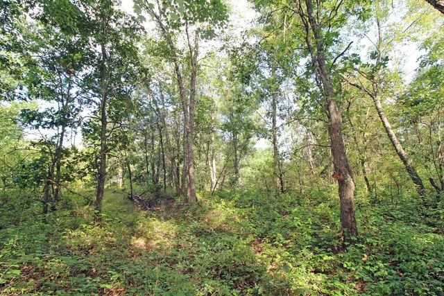 $650,000 | 7750 Pine Road, Arena, WI 53503