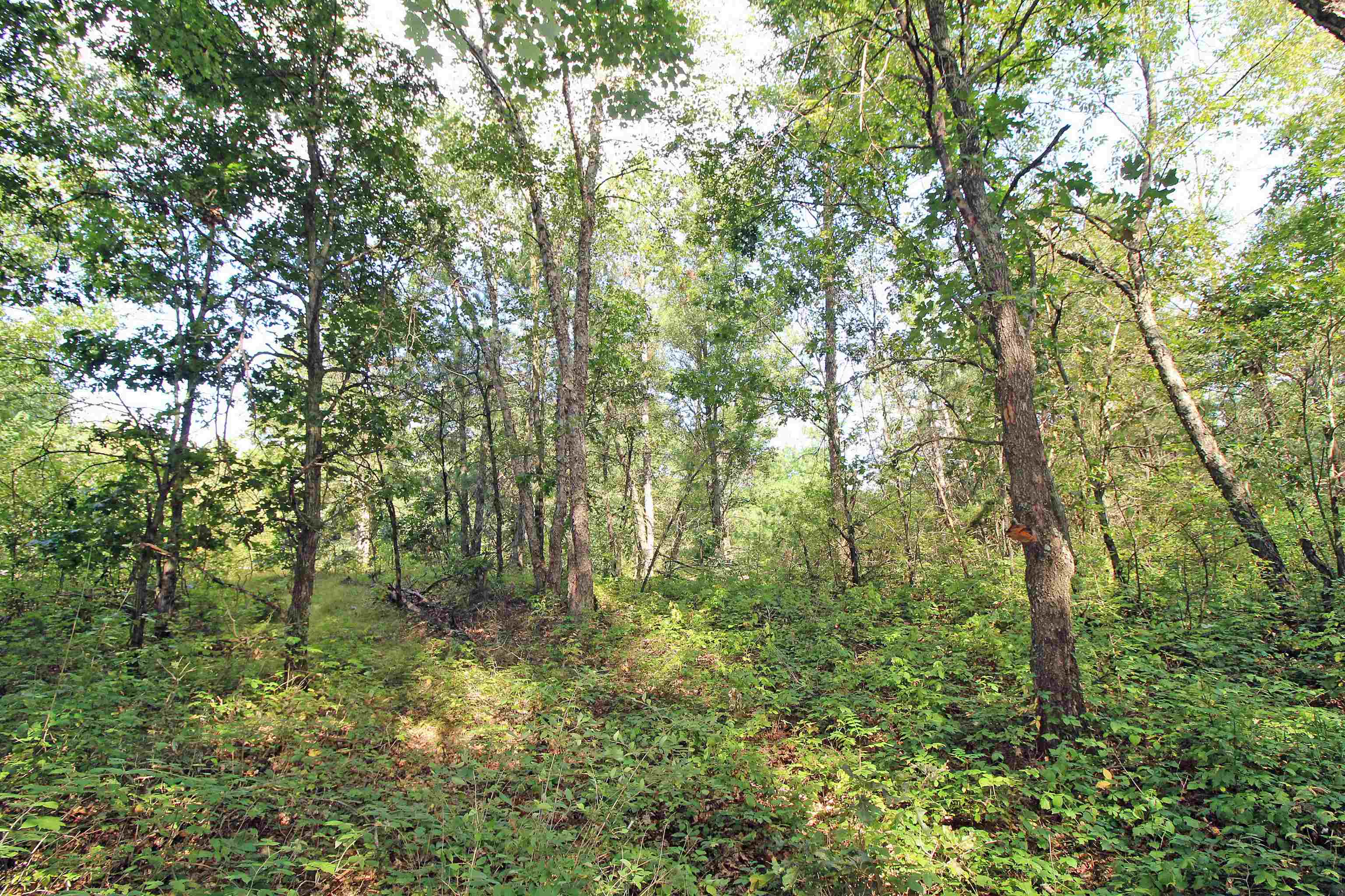 7750 Pine Road Arena, WI 53503 - Photo 57 of 59