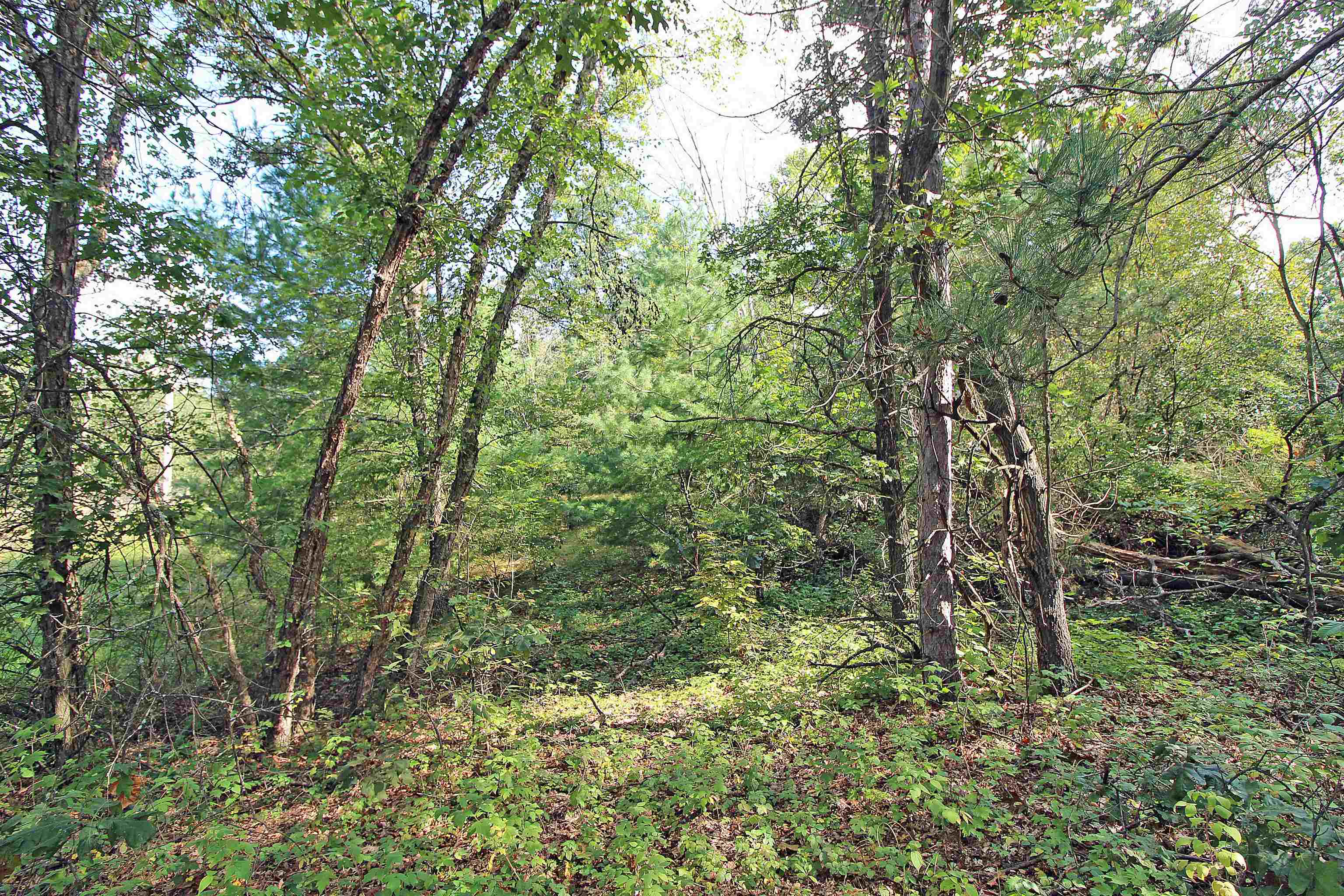 7750 Pine Road Arena, WI 53503 - Photo 58 of 59