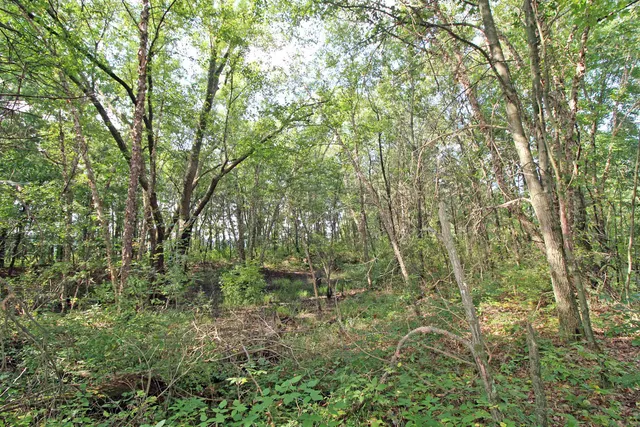 $650,000 | 7750 Pine Road, Arena, WI 53503