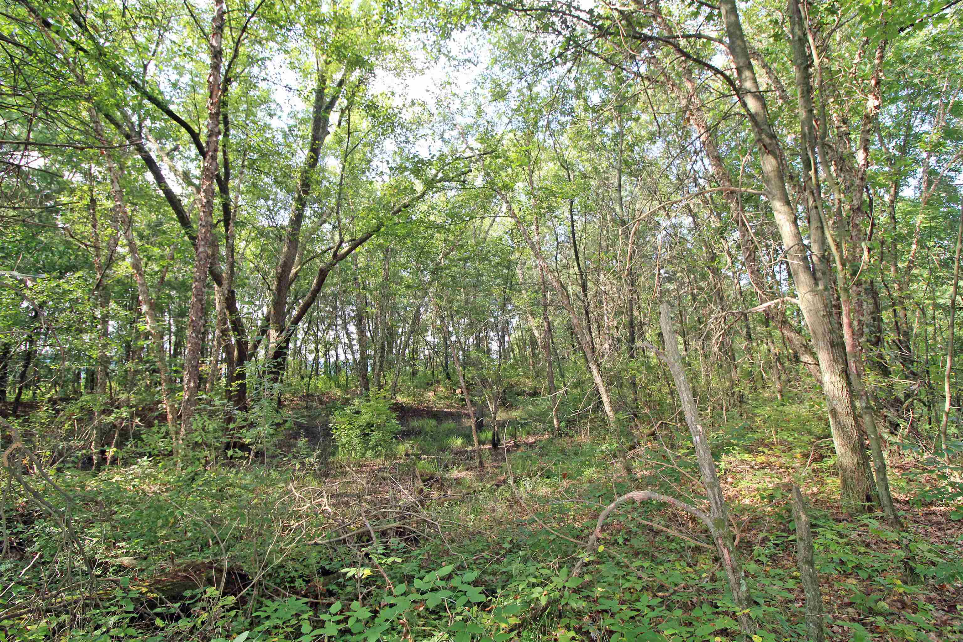 7750 Pine Road Arena, WI 53503 - Photo 59 of 59