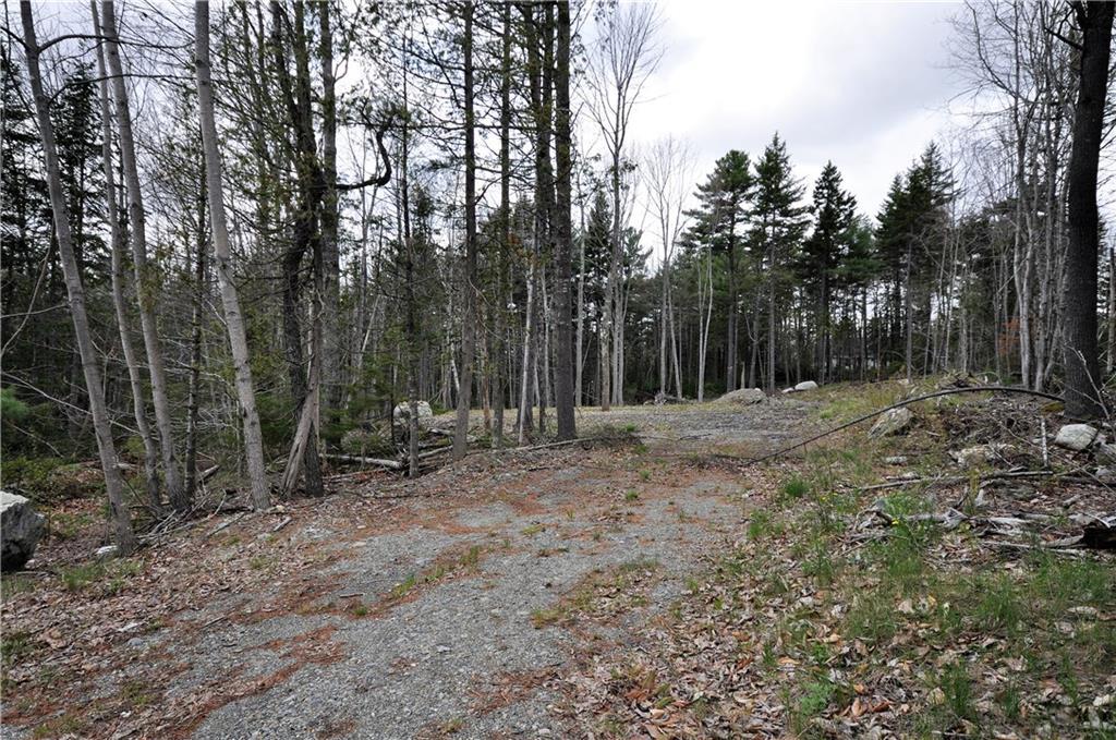 Lot7 Beechland Road Ellsworth, ME 04605 - Photo 1 of 7 Photo