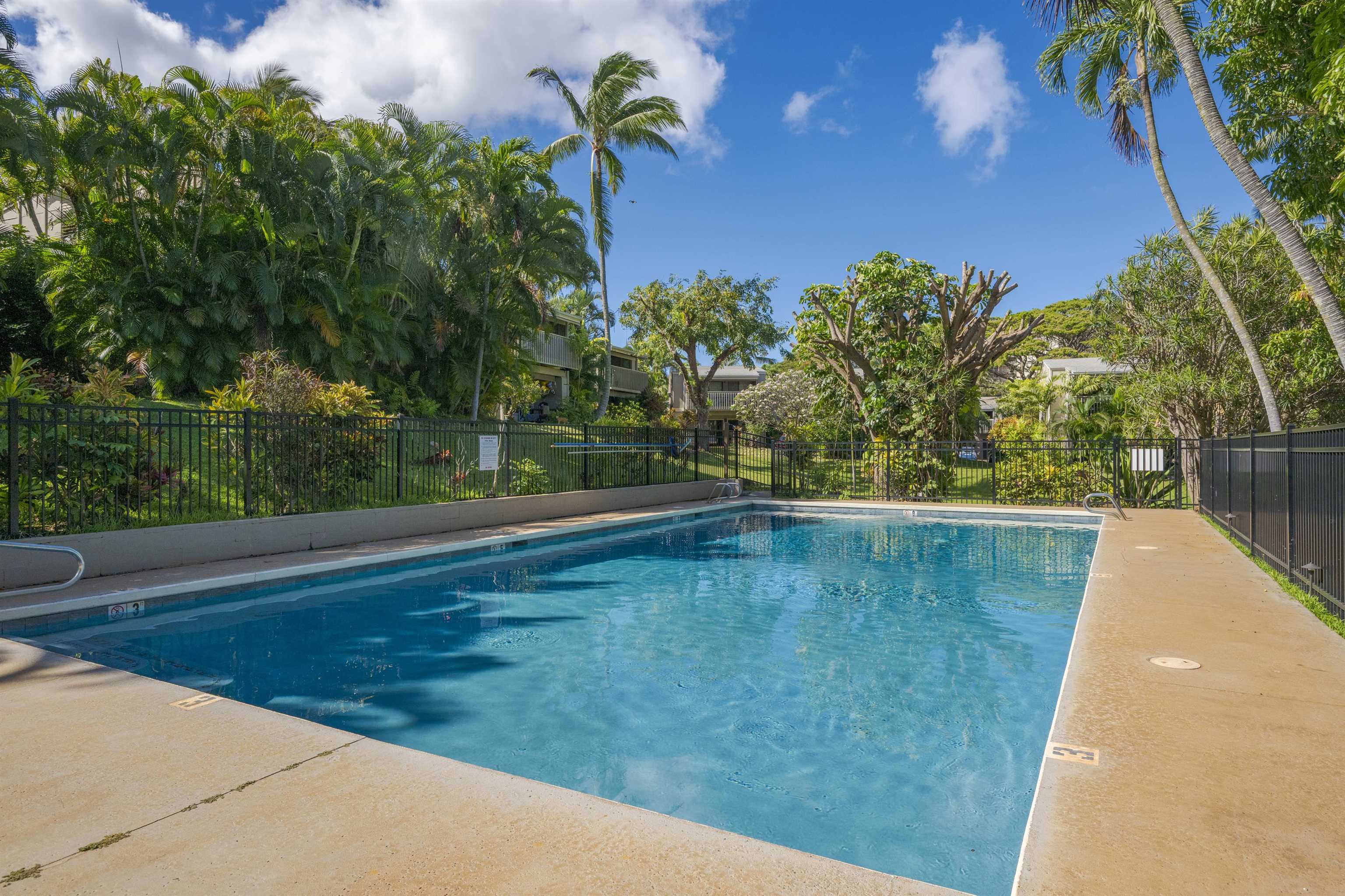 4440 Lower Honoapiilani Road, Unit 124 Lahaina, HI 96761 - Photo 22 of 30
