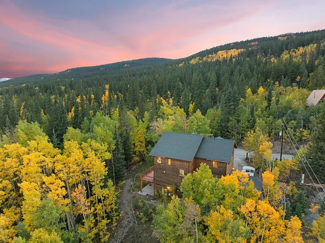 $999,000 | 294 Mine Dump Road, Alma, CO 80420