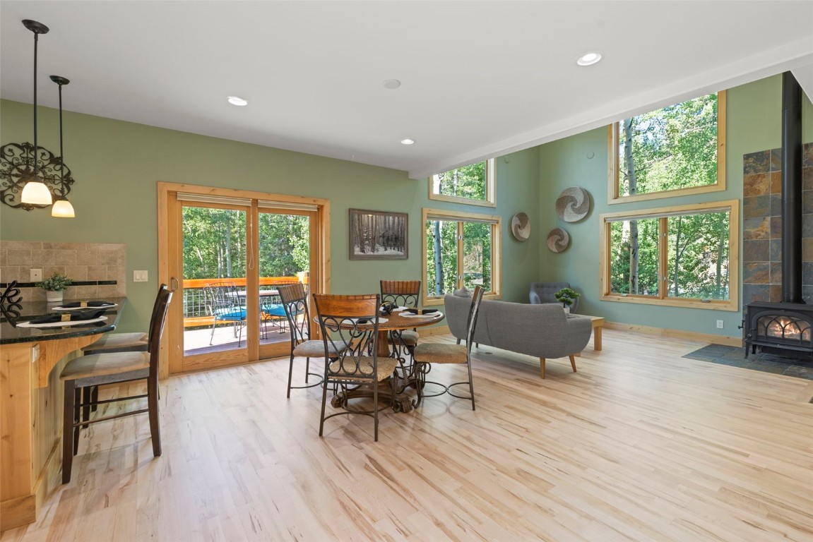 294 Mine Dump Road Alma, CO 80420 - Photo 17 of 50