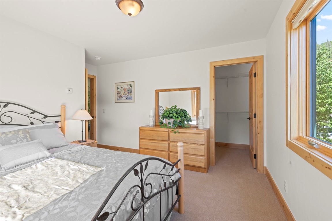 294 Mine Dump Road Alma, CO 80420 - Photo 25 of 50