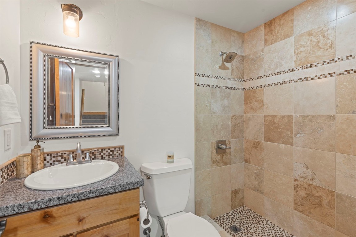 294 Mine Dump Road Alma, CO 80420 - Photo 39 of 50