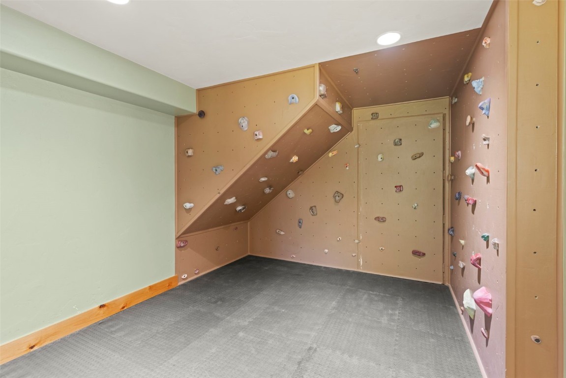 294 Mine Dump Road Alma, CO 80420 - Photo 40 of 50