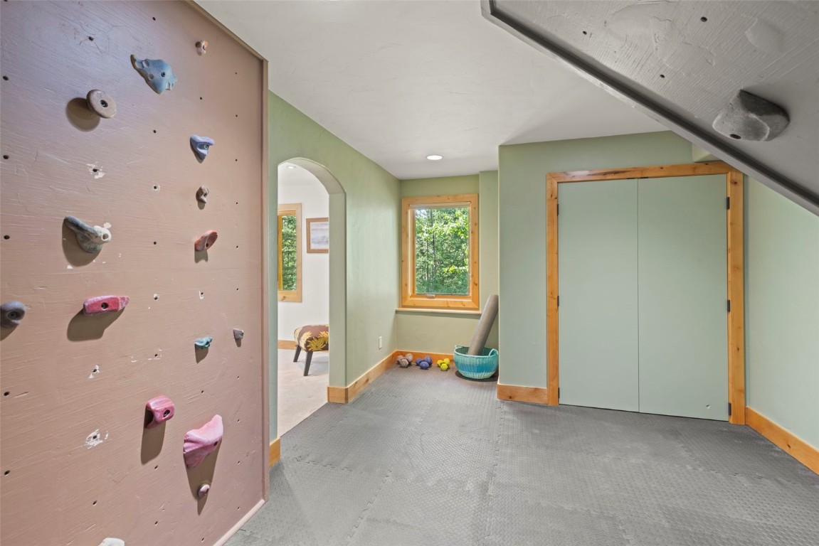 294 Mine Dump Road Alma, CO 80420 - Photo 41 of 50