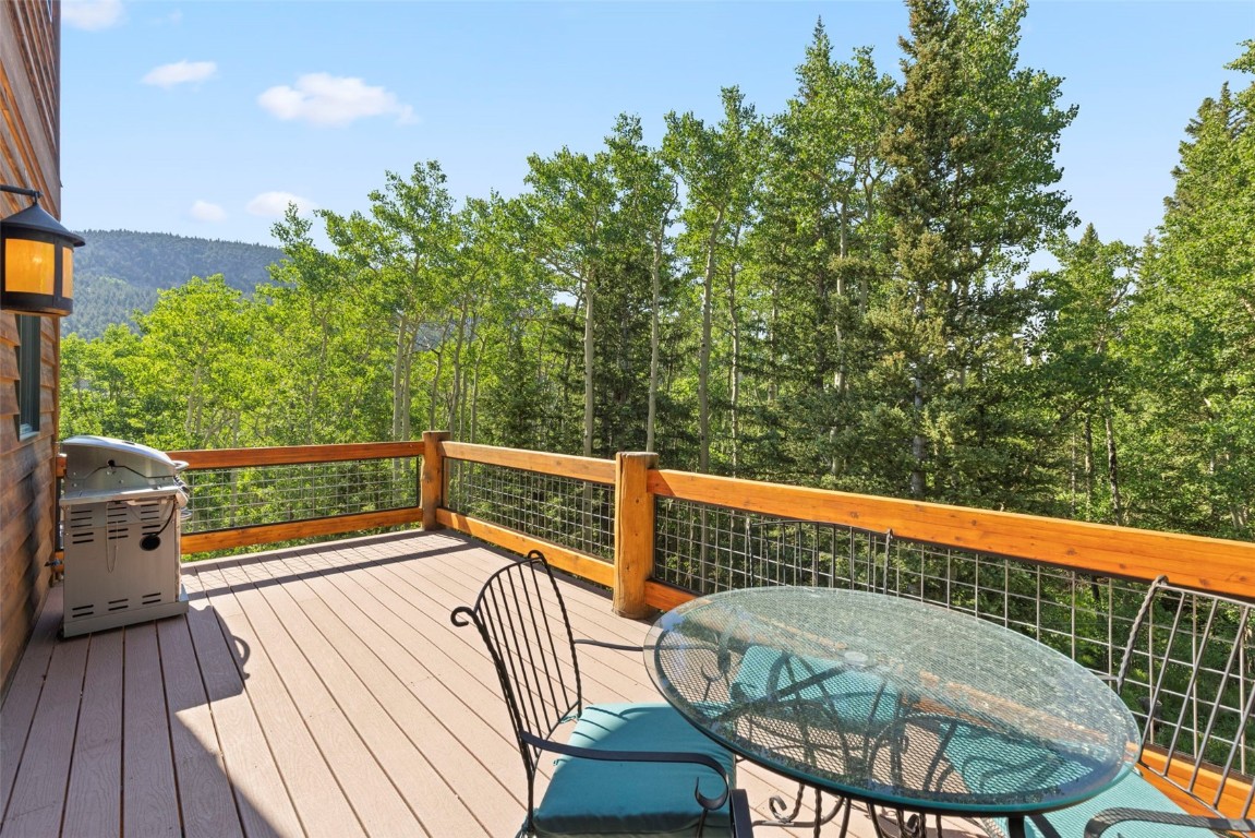 294 Mine Dump Road Alma, CO 80420 - Photo 42 of 50