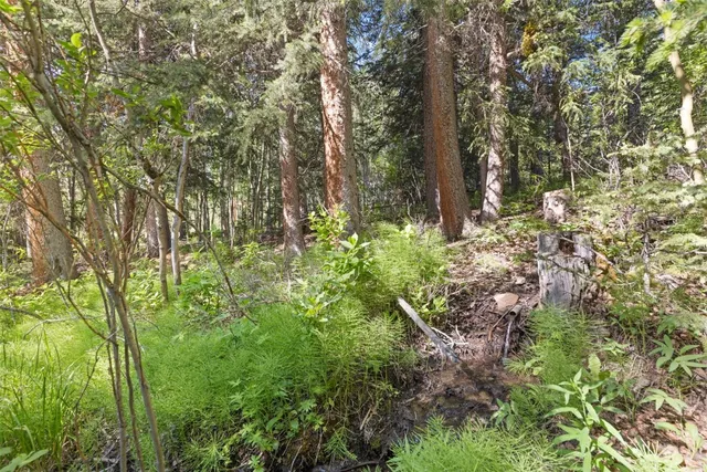 a view of yard with patio