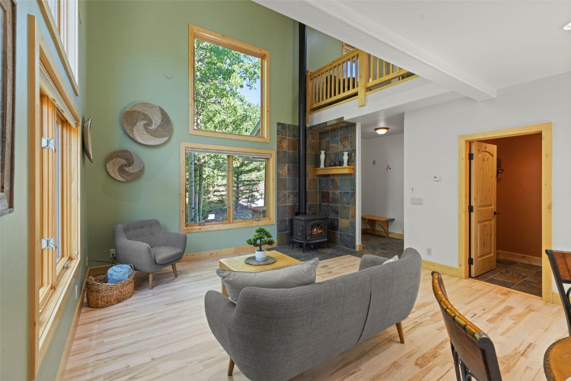 294 Mine Dump Road Alma, CO 80420 - Photo 8 of 50