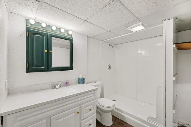 a bathroom with a sink a toilet and shower a mirror
